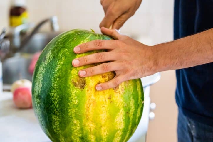 Cutting Watermelon With Yellow Field Spot