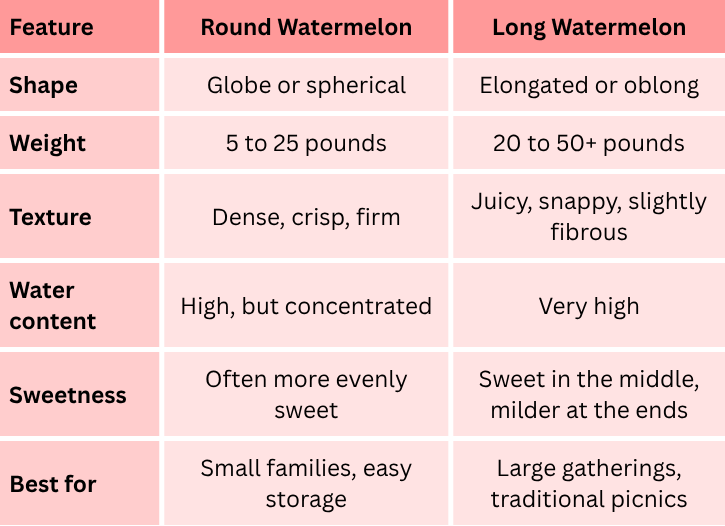 Key Differences of Round and Long Watermelon