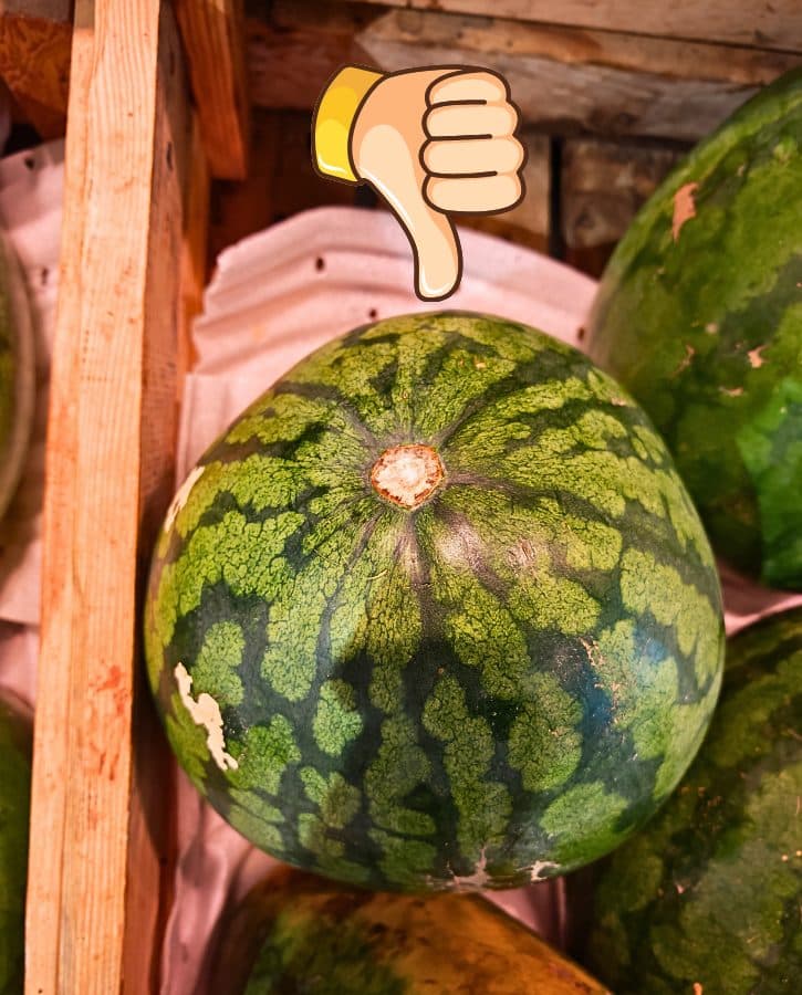 Misshapen Watermelon Uneven Shape Bad