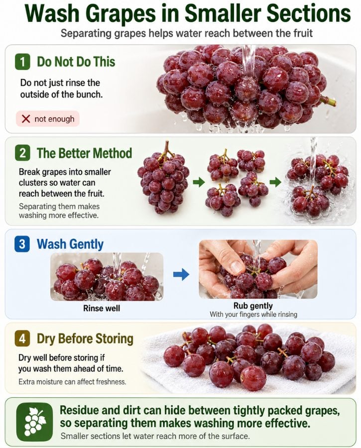Wash Grapes Properly Guide