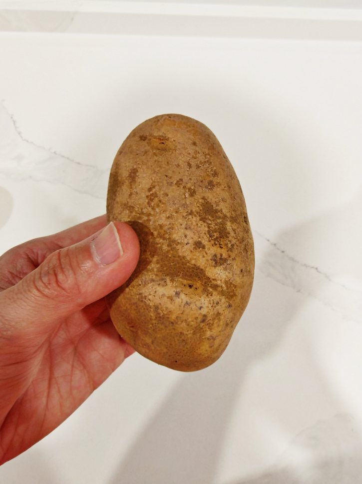 Hand Holding Russet Potato