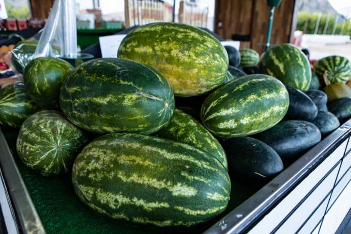 Long Watermelon