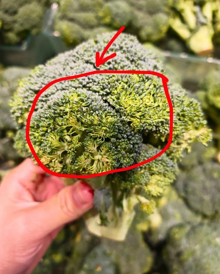 Loosened Broccoli Florets