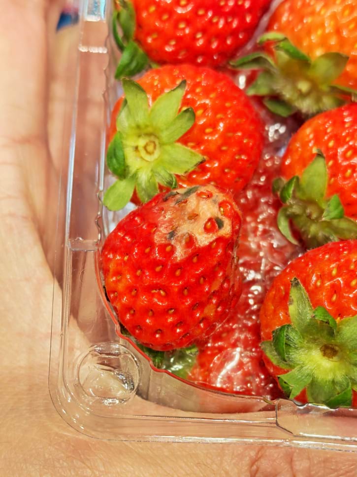Moldy Strawberry In Container
