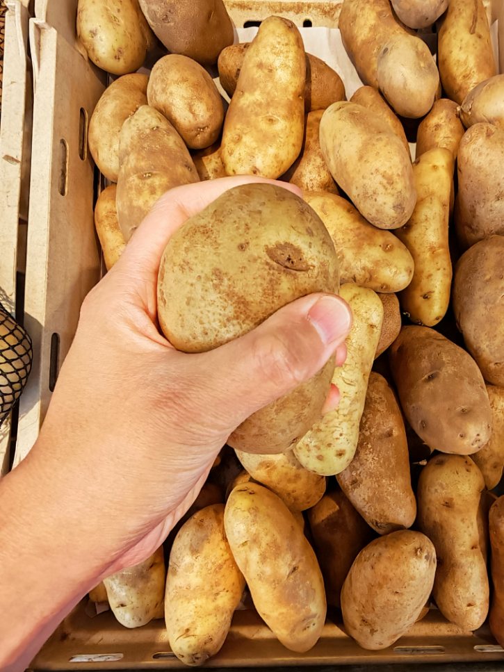 Checking Potato Firmness By Hand