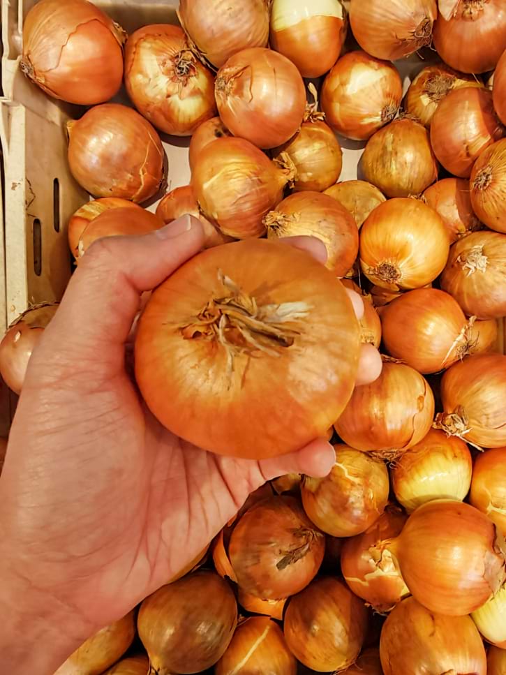 Red And Yellow Onions Displayed