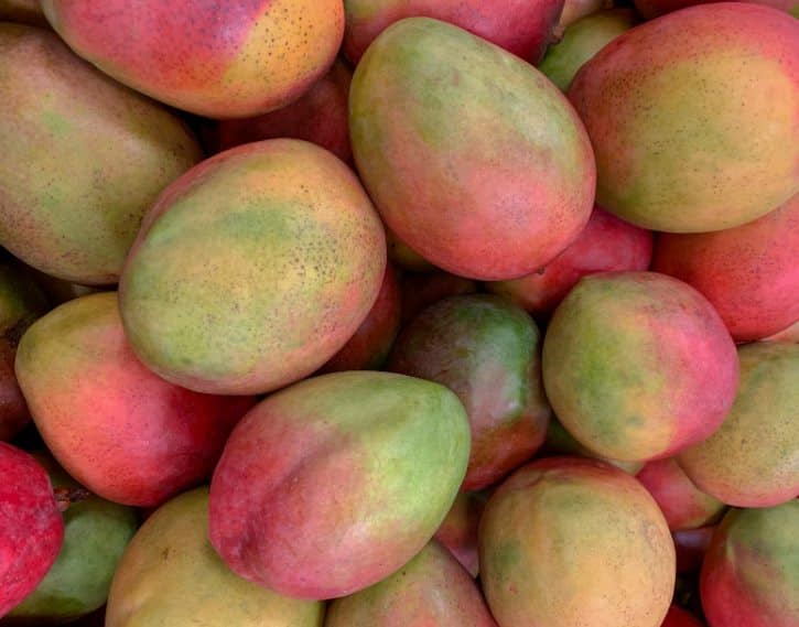 Tommy Atkins Mangoes Close Up