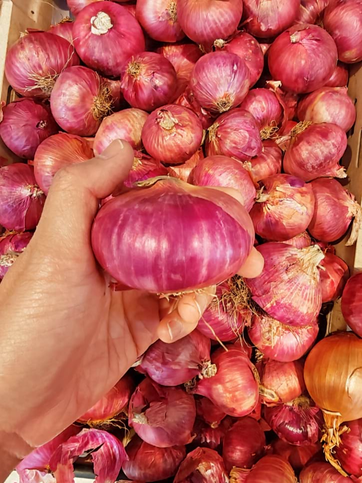 Dry Red Onion
