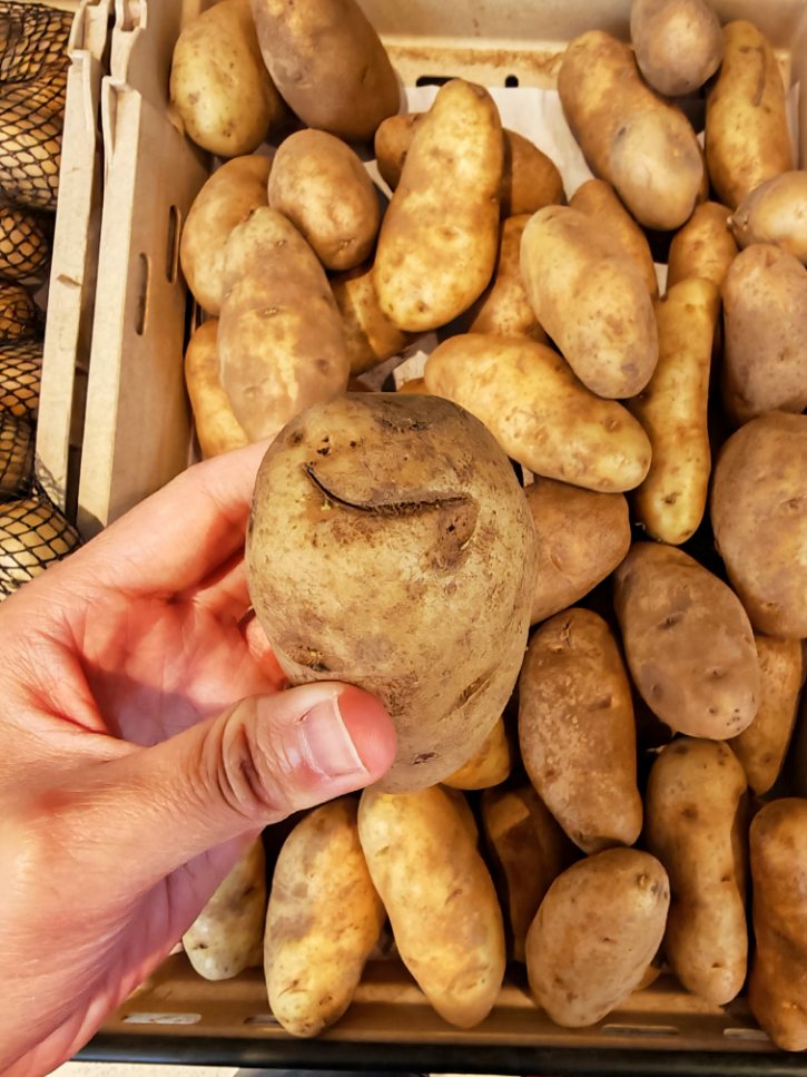 Potato With Surface Damage Spot