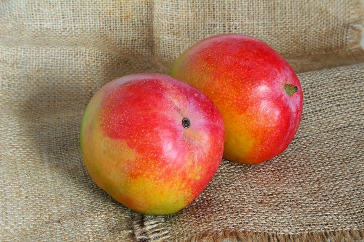 Kent Mangoes Close Up