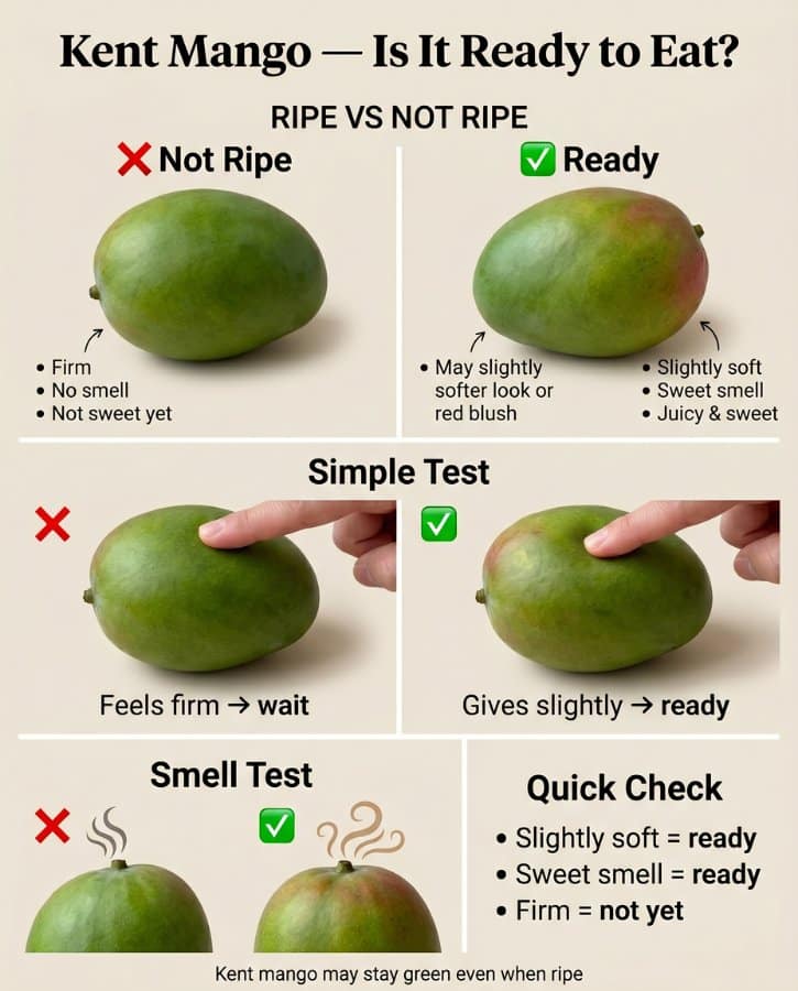 Cut Kent Mango Ripeness Guide