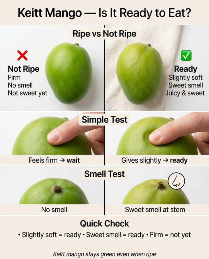Cut Keitt Mango Ripeness Guide
