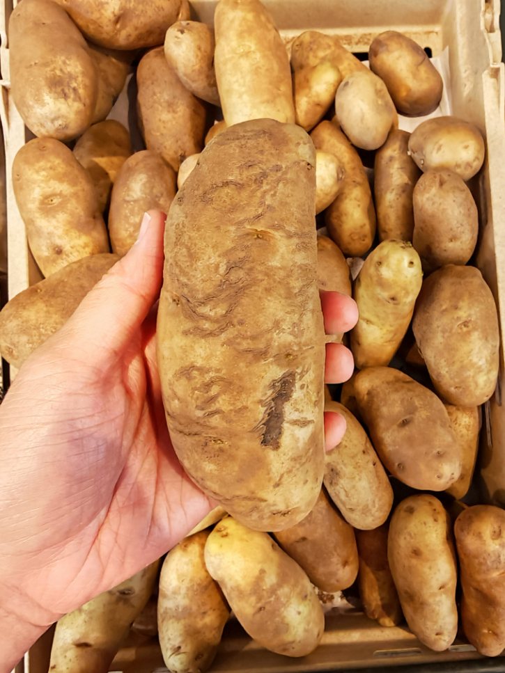 Large Russet Potato With Scarring