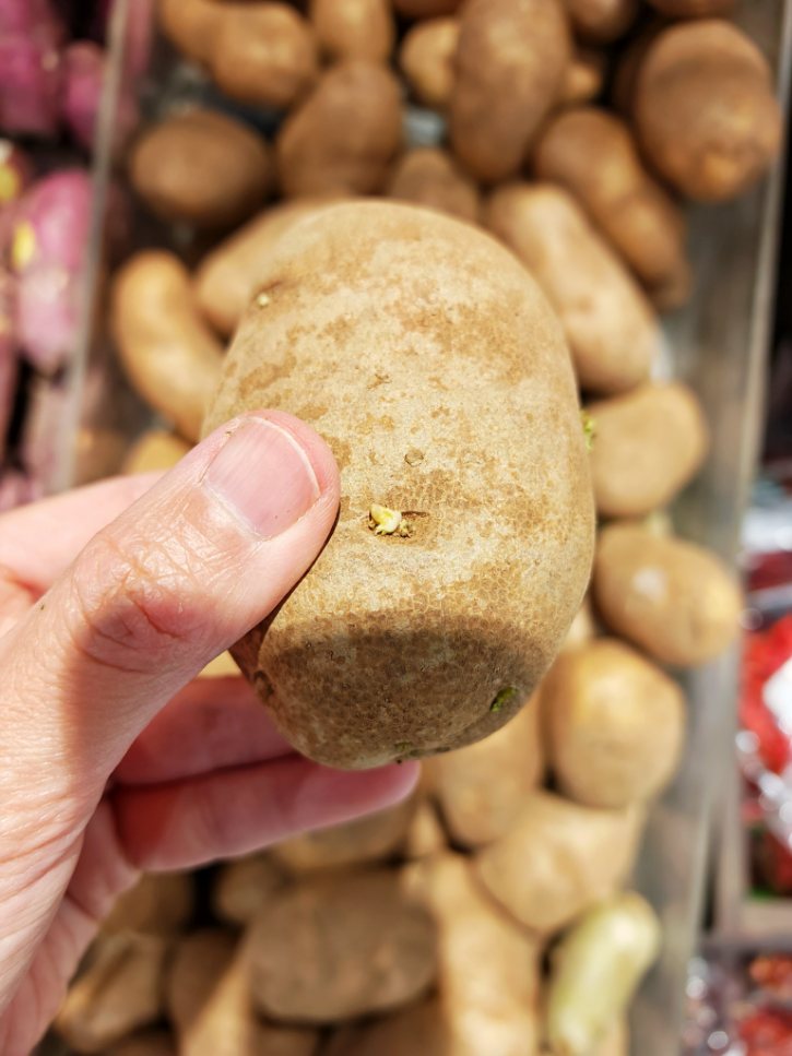 Potato With Sprouting Eye