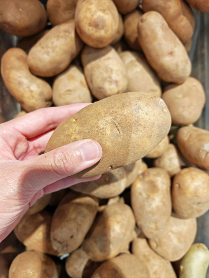 Potato With Dirt On Skin