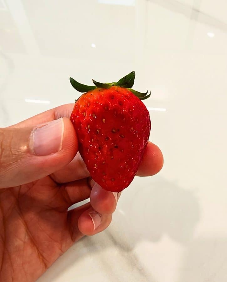 Crushed Strawberry