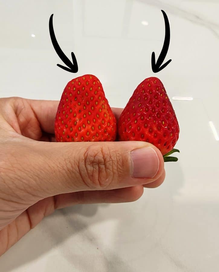 Flat Vs Protruding Strawberry Tip