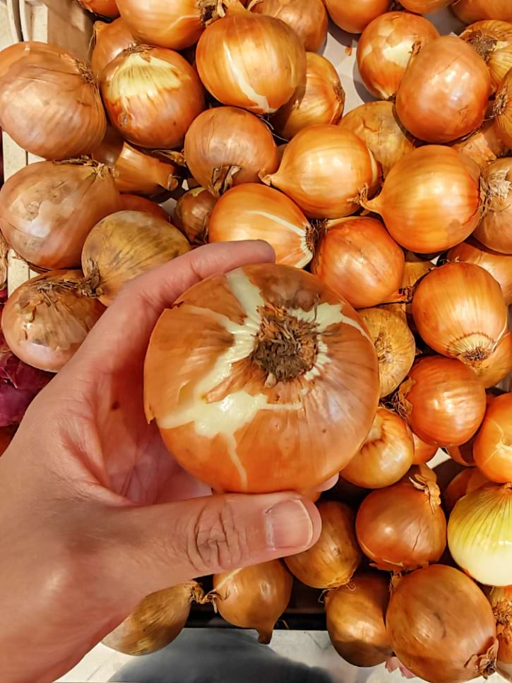Loose Onion Skin