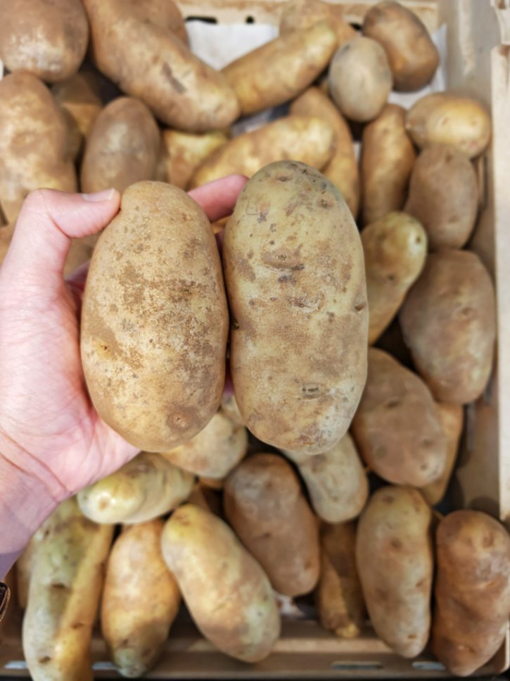 Russet Potatoes