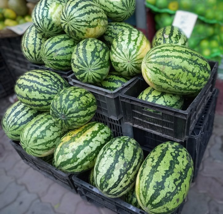 Watermelon