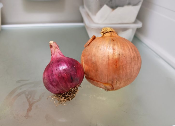 Onions Stored In Fridge