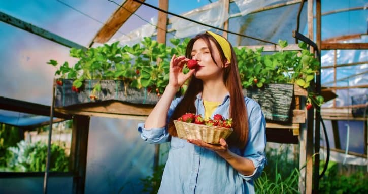Smell on Strawberries