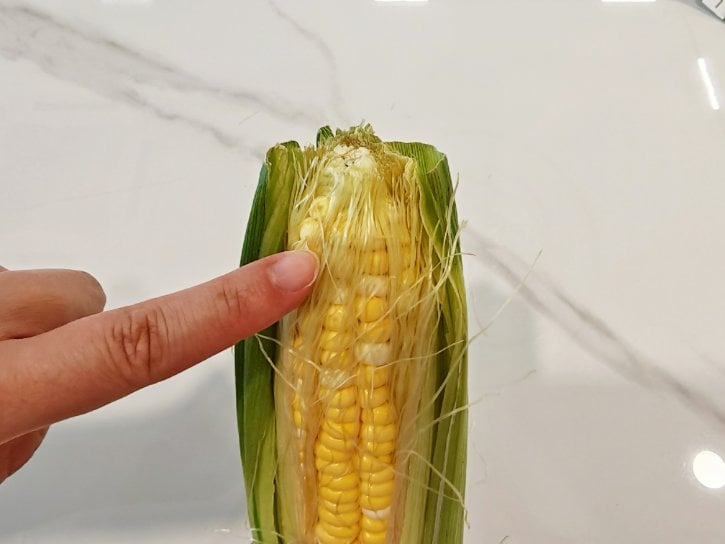 Corn Silk Close Up Freshness Check