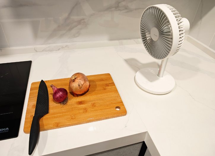 Onion Near Fan