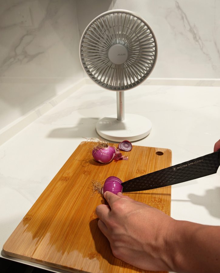 Cut Onion Near Fan