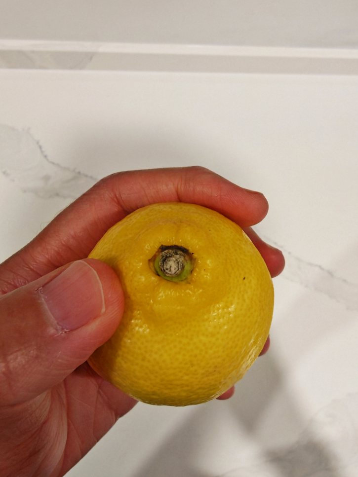 Lemon Stem End Close Up