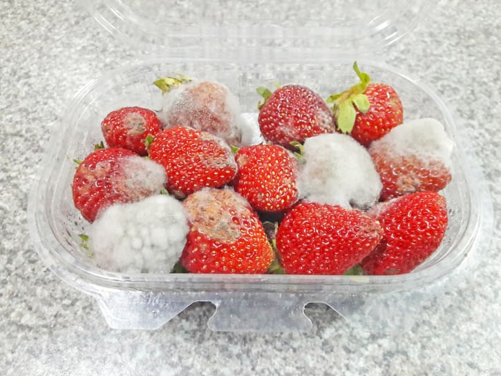 Moldy Strawberries In Container