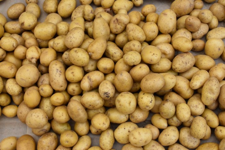 Pile Of Yukon Gold Potatoes