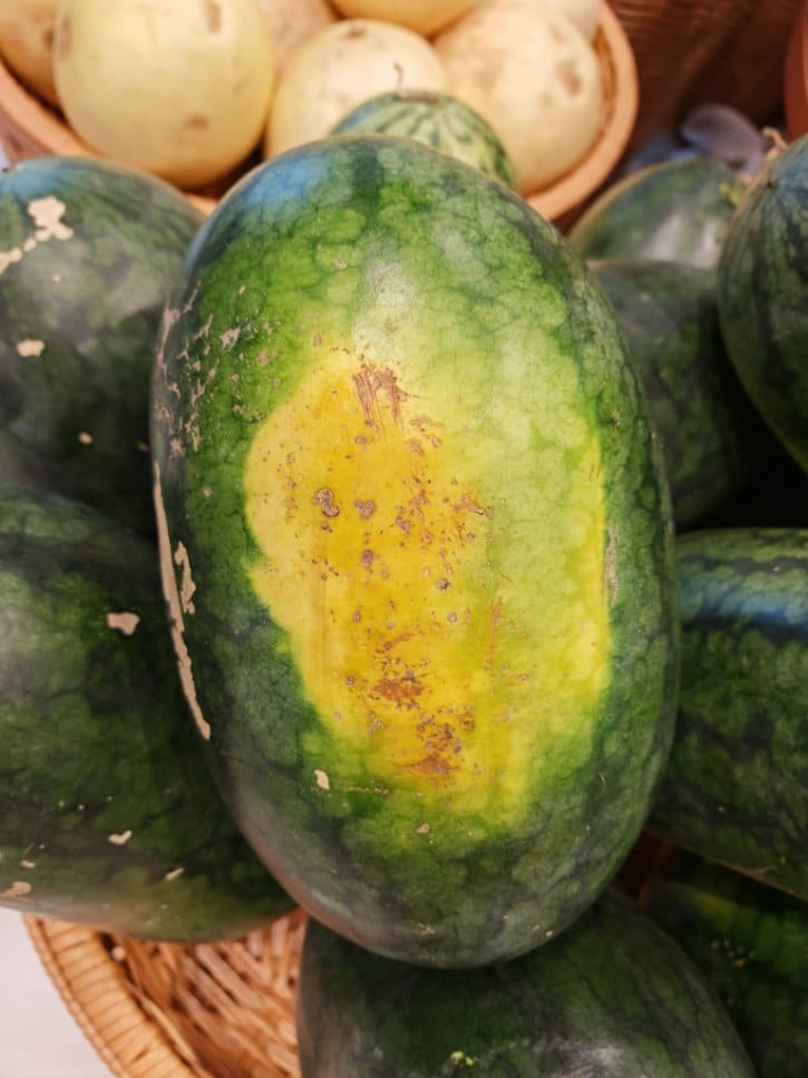 Signs of a Sweet Watermelon
