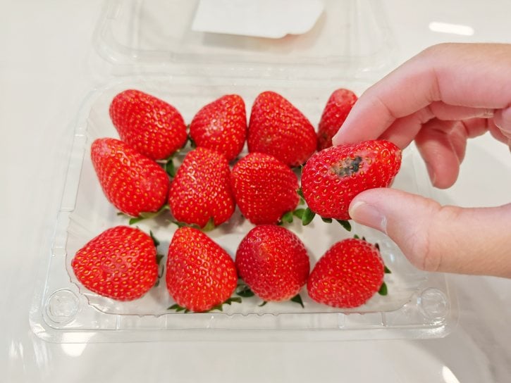 Removing Moldy Strawberry From Container