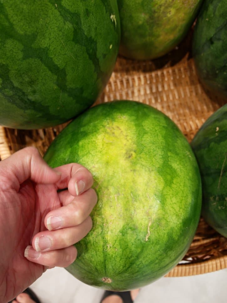 Sound Test on Watermelon