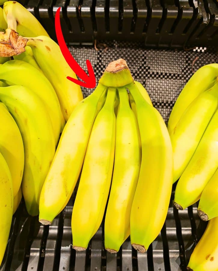 Banana Stem