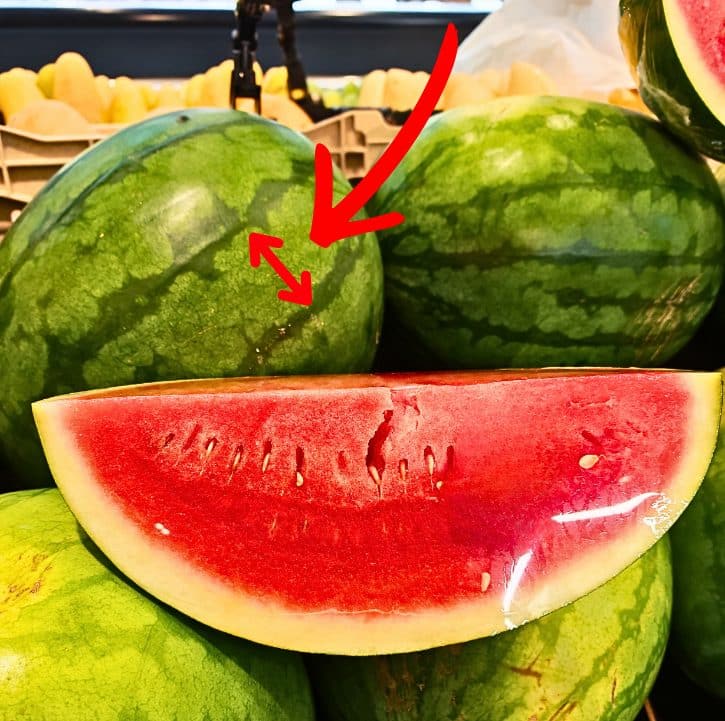 Watermelon Stripe Distance Close Comparison
