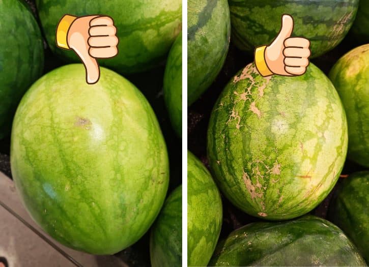 Watermelon Dull Vs Shiny Skin Comparison