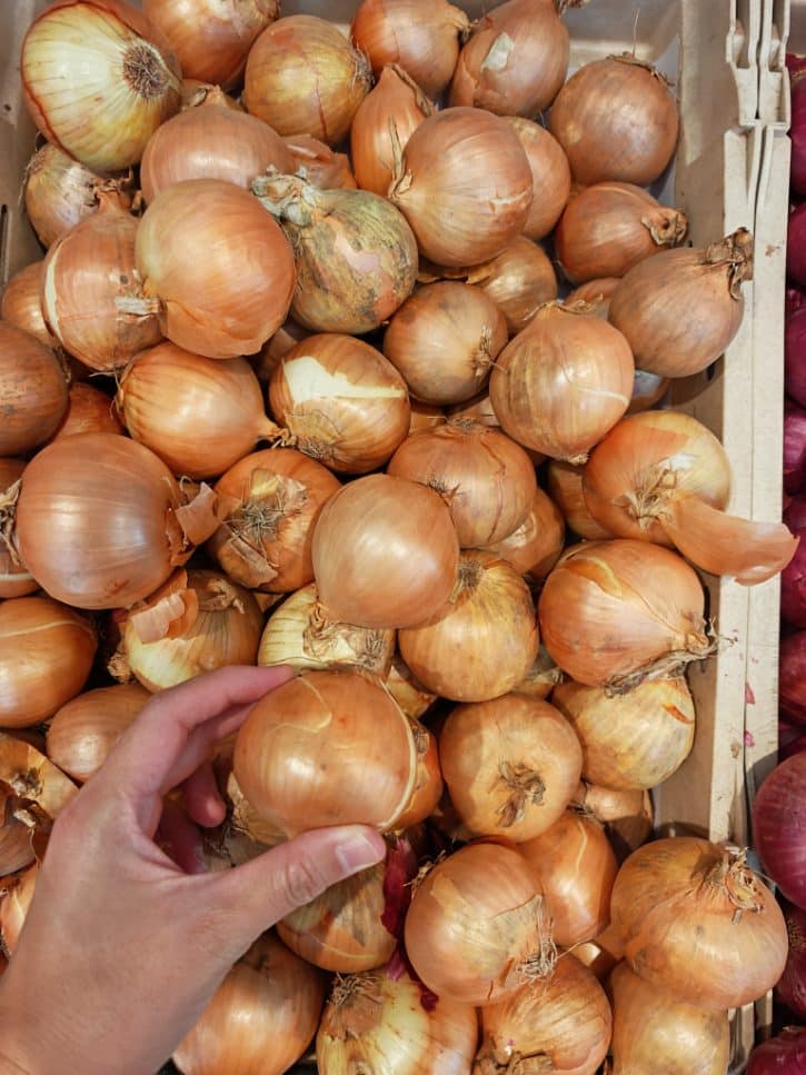 Hand Picking Yellow Onions