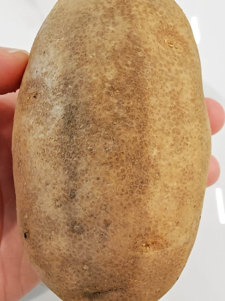 Russet Potato Skin
