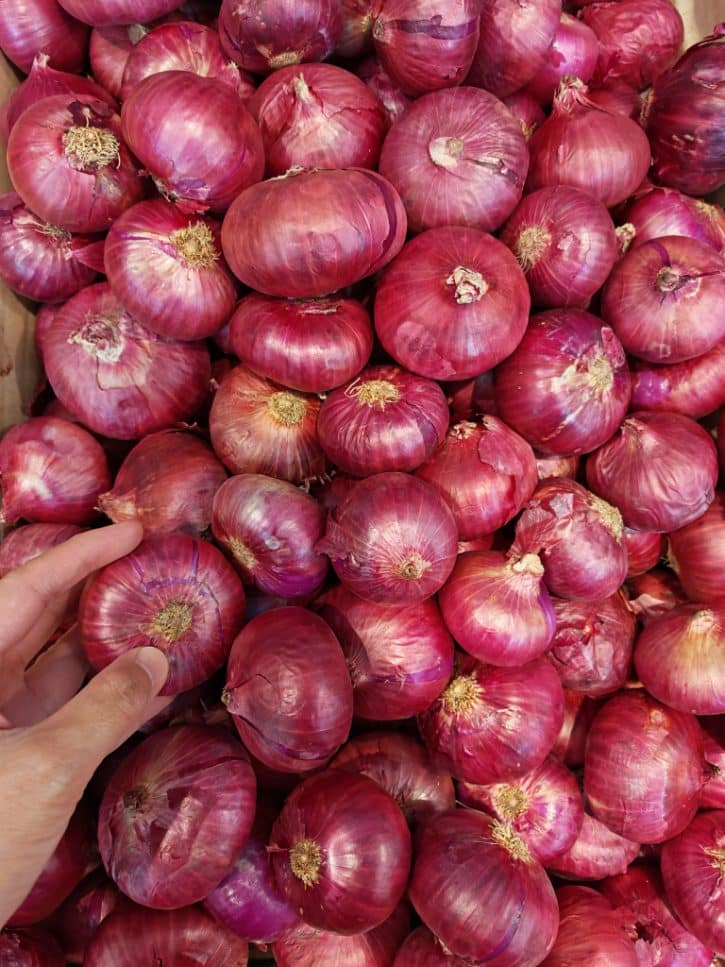 Hand Picking Red Onions