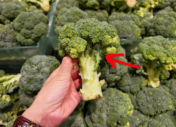 Fresh Broccoli Leaves