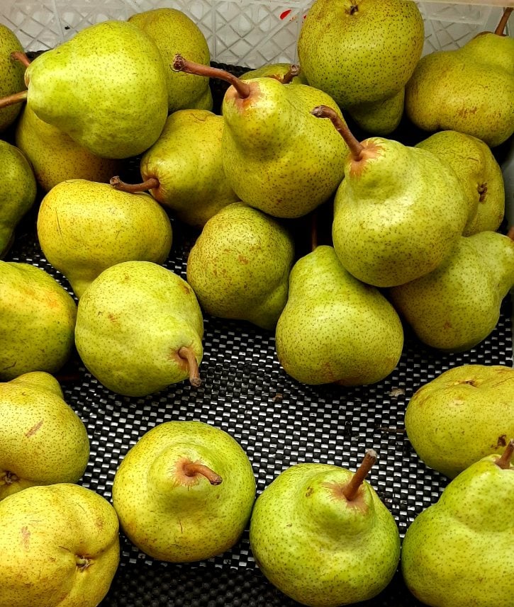 Pears
