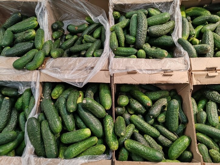 Cucumbers