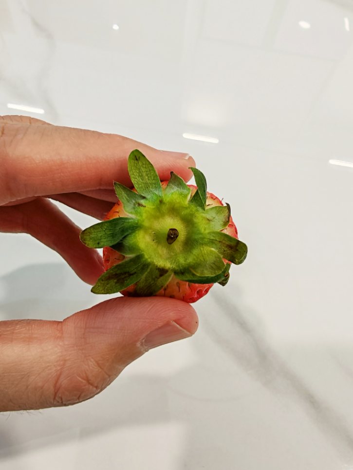 Strawberry Top View