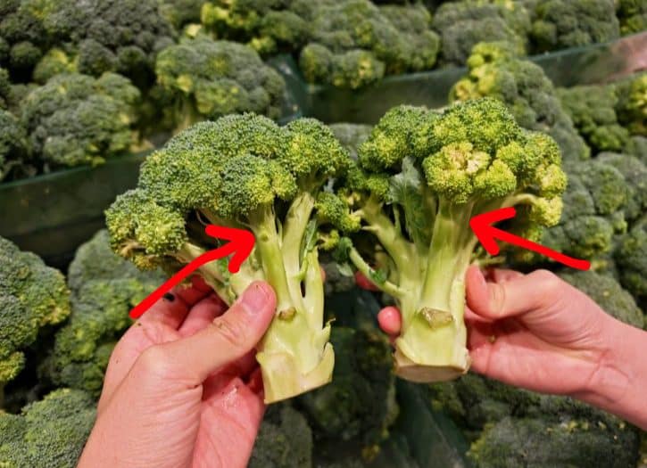 Thin Vs Thick Broccoli Stalks