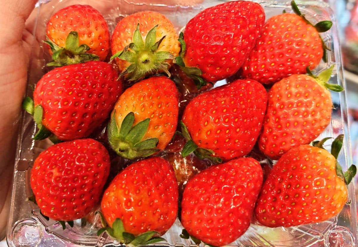 Bright Red Strawberries