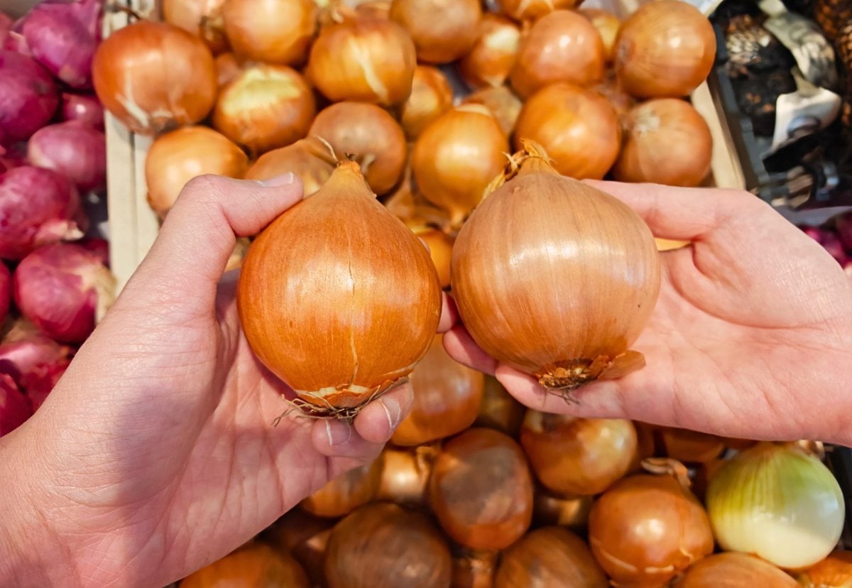 Choosing Fresh Onion In Store