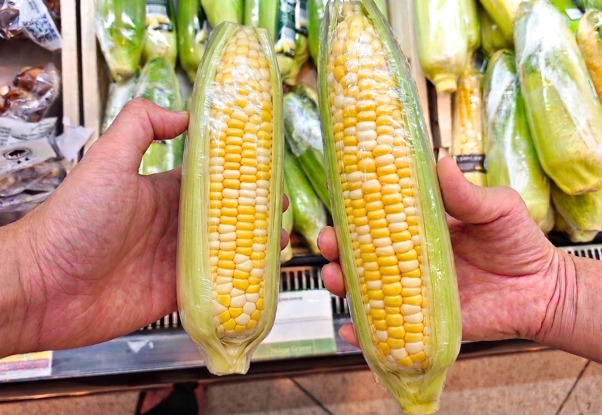 Pick Sweet Corns