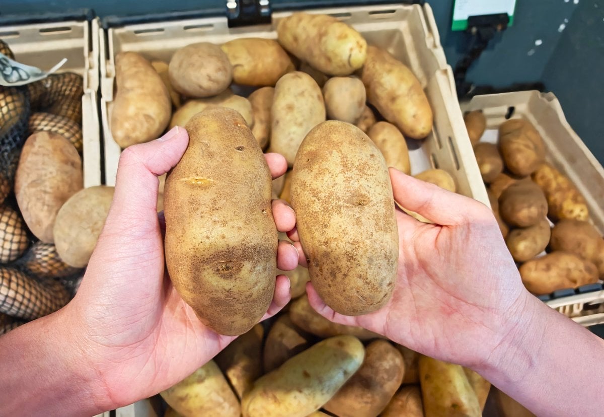 Pick the Best Potatoes